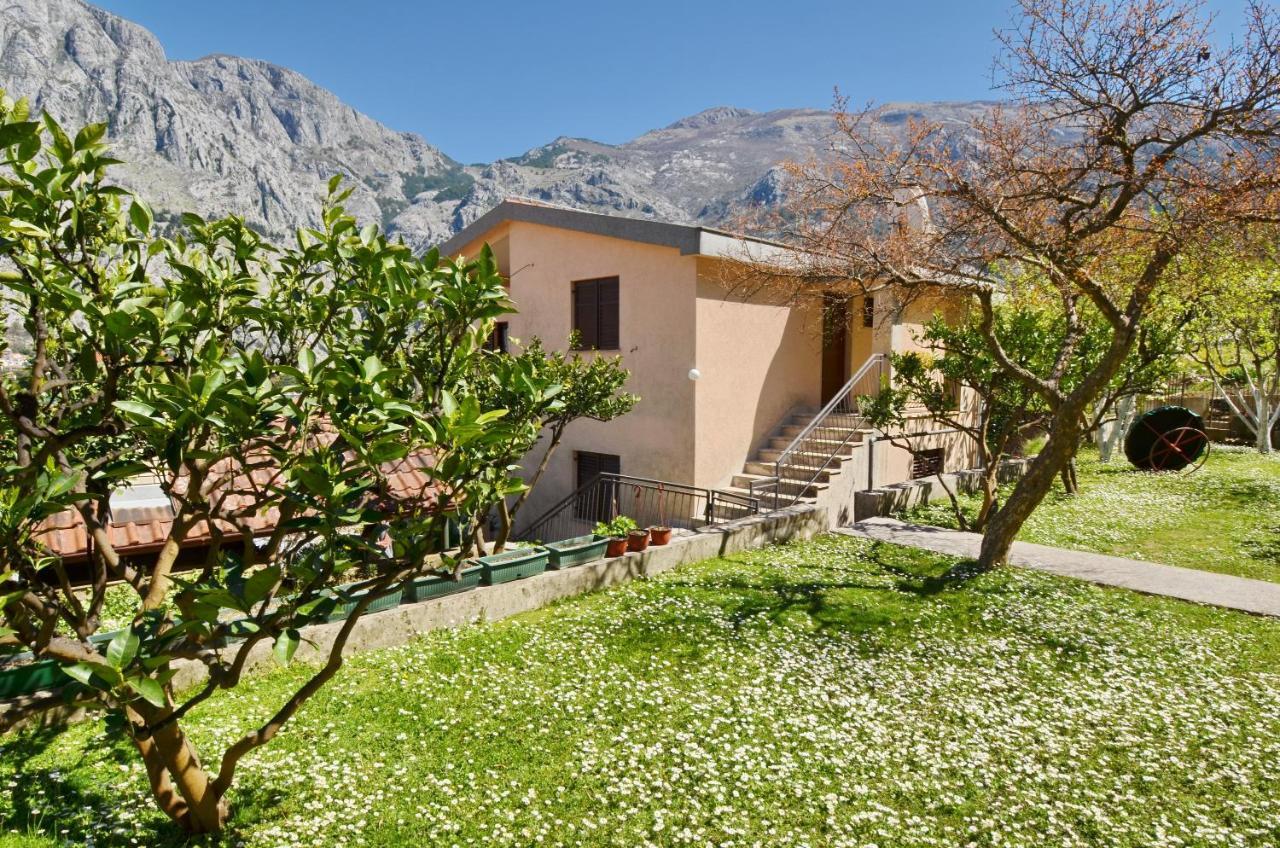 Apartments Andrija โกตอร์ ภายนอก รูปภาพ