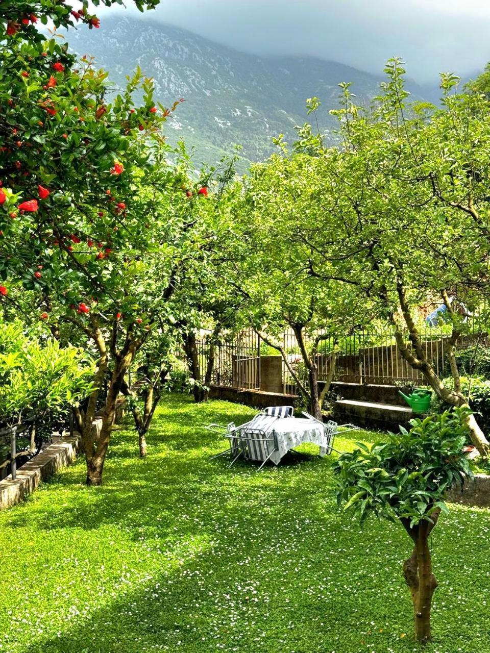 Apartments Andrija โกตอร์ ภายนอก รูปภาพ